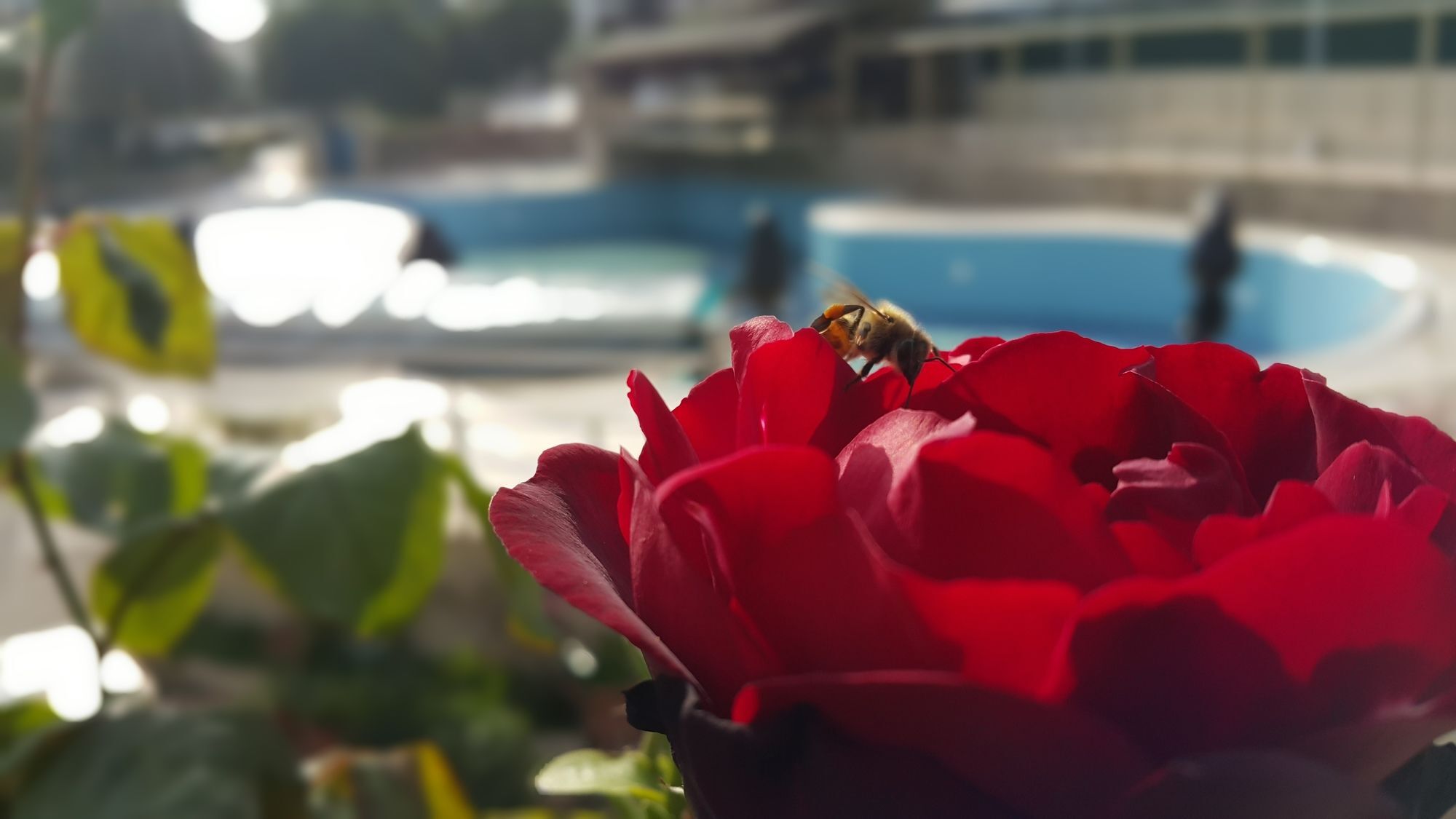 קמר Tu Casa Gelidonya Hotel מראה חיצוני תמונה
